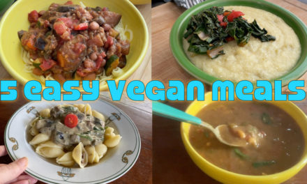 Cooking 5 Easy Meals From Happy Healthy Vegan Cookbook
