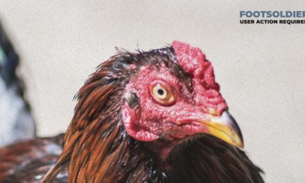 Footsoldier Album Features Happy Healthy  Vegan / LOVESPIRALS