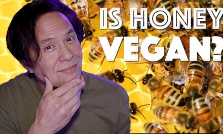 Is Honey Vegan?  Ryan Answers on YouTube