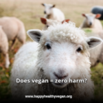 Does Being Vegan Mean A Zero Harm Lifestyle?