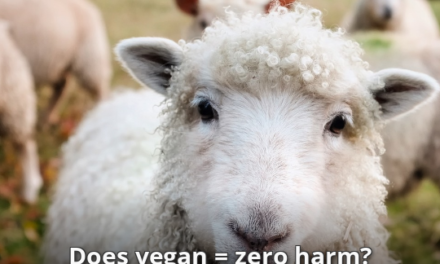 Does Being Vegan Mean A Zero Harm Lifestyle?