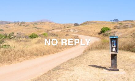 “No Reply” Single & Music Video Out
