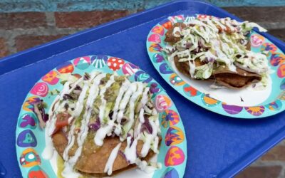 Trying Disney’s California Adventure Plant Based Menu Items (Summer 2026)