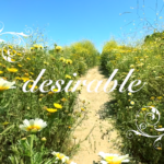 Desirable Single & Music Video Out Now