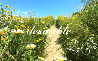 Desirable Single & Music Video Out Now
