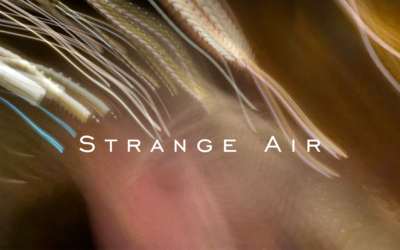 Strange Air Single & Music Video Out Now
