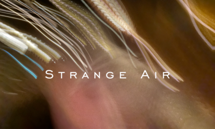 Strange Air Single & Music Video Out Now